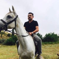 Hüseyin.U (@hsyn_rgn_) 's Twitter Profile