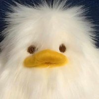I (@gitarr0_0) 's Twitter Profile