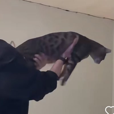 0xfirework's profile picture. 耐受是一种美德，有些人接受半年没结果。 有些人可以接受三个月，有些人只有一周。 耐受的差距，拉开了人和人的差距。