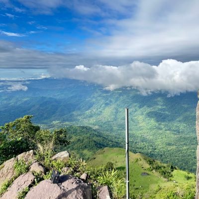 ArtArt4425's profile picture. 