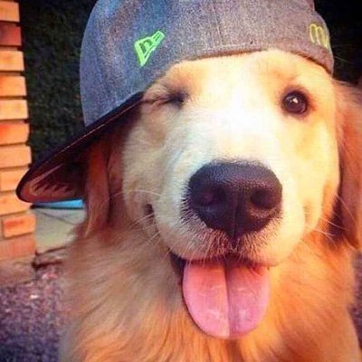 Andrewさんのプロフィール画像