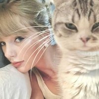 liaa🪷 (@revchiraly) 's Twitter Profile