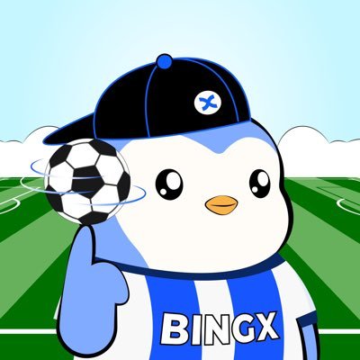 BingX - Supreme Partners Profile
