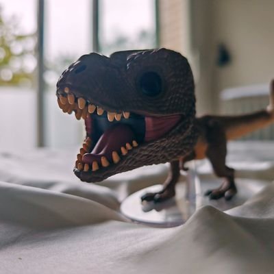 Hembra de dinosaurio. 🦴🦴
Buena gente. O normal, yo que sé ya. Vieja, neurodivergente. Superpoder: Dormir. TesLela. No me des la turra.