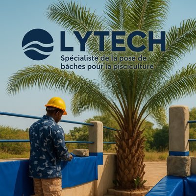 ousseynouly22's profile picture. 