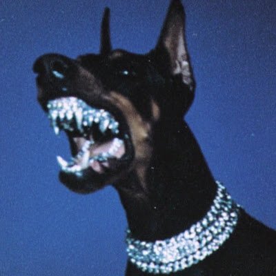 xOG_69's profile picture. Hey, I'm xOG.