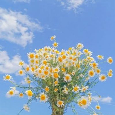 ntさんのプロフィール画像