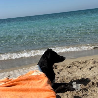 Solo poesia, bellezza, arricchimento quotidiano di parole importanti, suggestioni e pace