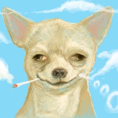 the_recon_scout's profile picture. reconnaissance-scout.eth