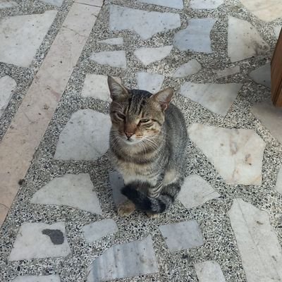 EmineAr97925807's profile picture. 