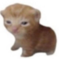 냑 (@nnaky0) 's Twitter Profile