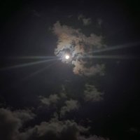 . (@busansz) 's Twitter Profile Photo . (@busansz) 's Twitter Profile Photo