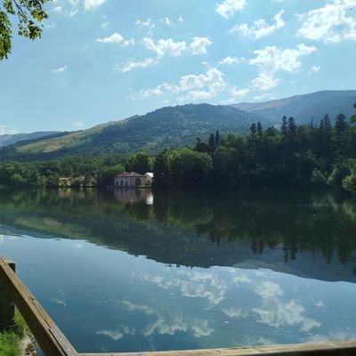 Carlos62274546's profile picture. 