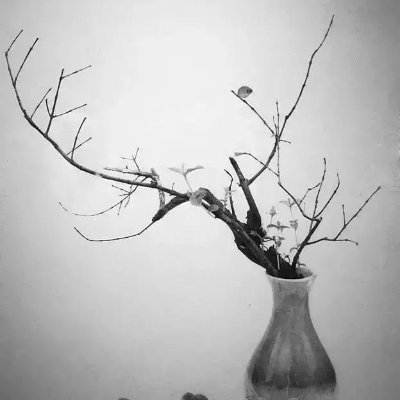 nippori1904's profile picture. 