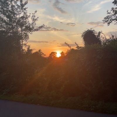 BumpusMichaela's profile picture. Basketball 
Softball 
Future Vet