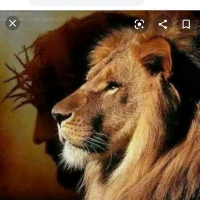 LuizCarlos49849's profile picture. 