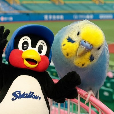 鳥🐤と音楽🎸(ザ・クロマニヨンズ、a flood of circle)と野球🐧 どうでもいいぜ千円くれ