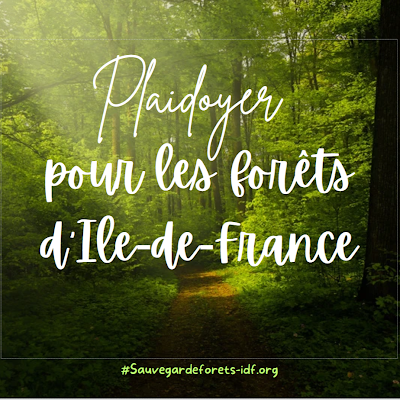 SauvForets_idf's profile picture. Collectif pour la sauvegarde et la préservation des forêts en Ile-de-France