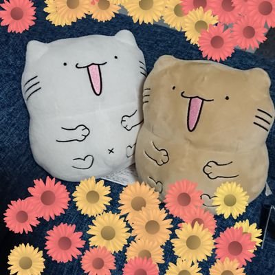 pontat93's profile picture. 呟きます