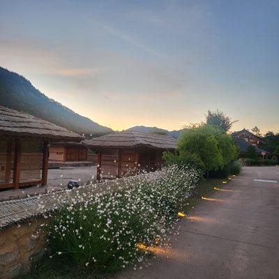 miuri1004's profile picture. ㄱ