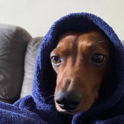 Meus olhos dizem mais que minha boca...