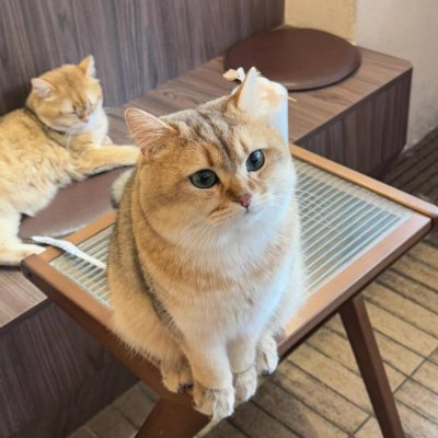 DAVELYNLALA's profile picture. 