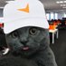 Mochi (@faceit_mochi) Twitter profile photo Mochi (@faceit_mochi) Twitter profile photo