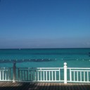 Kimberly Harness - @kimbercella - Twitter