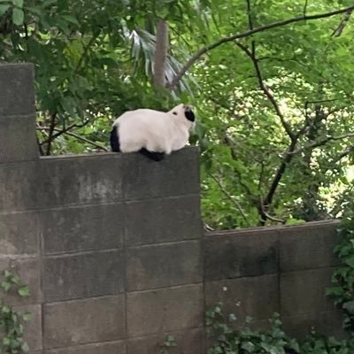 3kUACcsVgt15853's profile picture. 