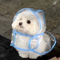 Donna (@sachi3100) 's Twitter Profile