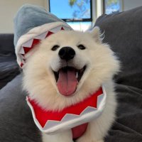 Sophia (@joojee1238081) 's Twitter Profile