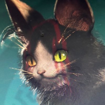 hanekenunodan's profile picture. モンハンはやってません