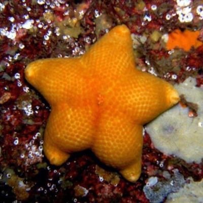 ⭐️さんのプロフィール画像