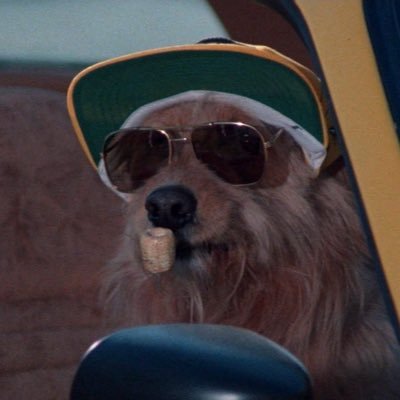 injuryrisk's profile picture. So it goes