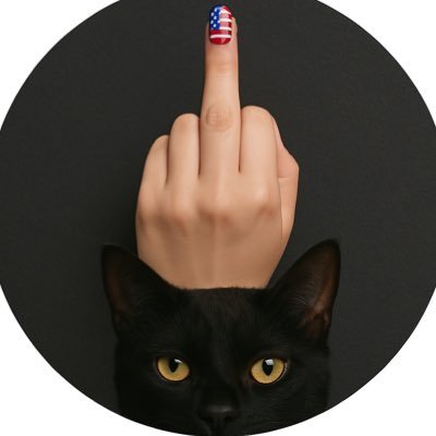 SalemLopez1212's profile picture. My coffee is strong, my vote is red, my cat has more dignity than most politicians, and my 🖕🏻 agrees.
