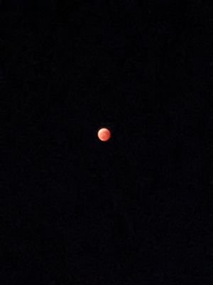 ohayuru's profile picture. 筋トレ／カーオーディオ／ゲーム／美容等
ゆるっと趣味を楽しみながら子育てしてます。更新頻度少なめですがよろしくです。