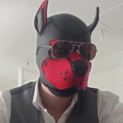 Kollさんのプロフィール画像