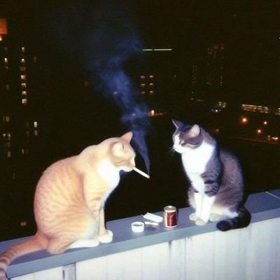 deeeddaa's profile picture. refreshed and depressed