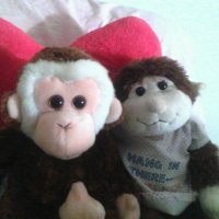 bindersatis (@bindersatistr) 's Twitter Profile