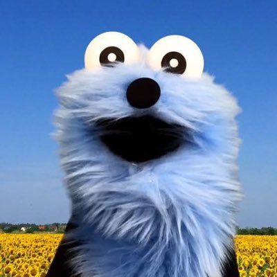 無言フォロー失礼します🙇♂️ 『よく働き、よく学び、よく遊び、よく食べて、よく休む❗️人生を面白おかしく張り切って過ごす‼️』趣味:クレー射撃(スキート)、狩猟(有害含む)、釣り、イングリッシュ・セッター #所持歴15年の猟師がライフル銃取得するまで