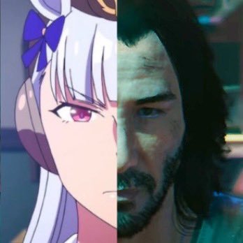 @paladincanis