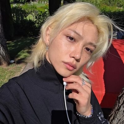 nao posso usar meu perfil de gente pra falar de stray kids entao criei este !