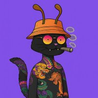 ZEEZ (@zeez721272) 's Twitter Profile Photo