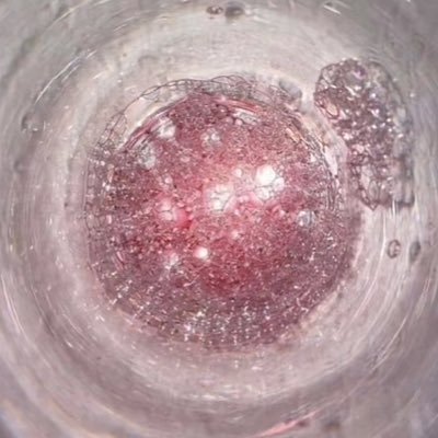 kik_gorilla's profile picture. ビートボックスを聴くのが好きです