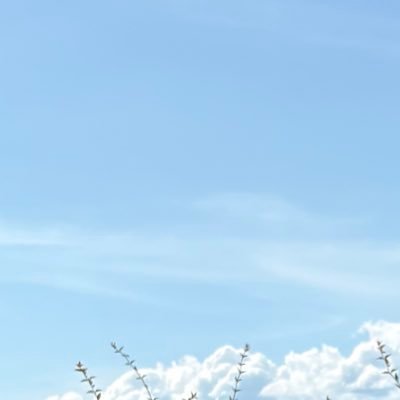 WEB_hiromi_'s profile picture. WEBデザイナー｜話すように、届けるように。心動くデザインを✨｜直感的でわかりやすいデザイン｜明るく、元気を引き出すビジュアル｜FAMMスクール2025年2月卒業生｜お仕事のご依頼・ご相談はDM✉️からお願いします☺️