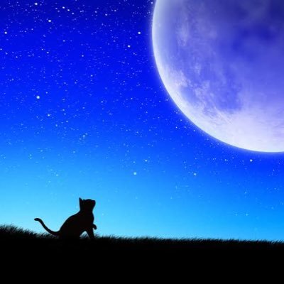 異世界、恋愛、歴史、文芸などを書いてます。気軽に接してください【神の祝福零の俺が回想録だけで異世界を貫く】 連載中です！なろう、カクヨムで活動中。なろうhttps://t.co/P4C8plblZzカクヨムhttps://t.co/ogKElTun03