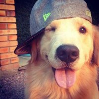 khino (@borisdrago2) 's Twitter Profile