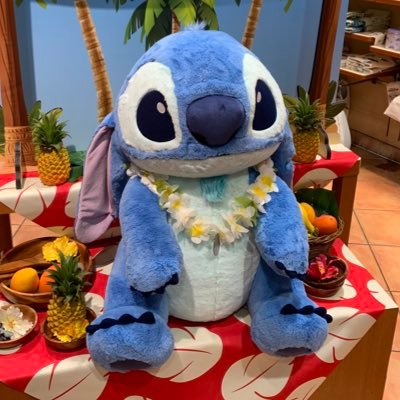 らら_さんのプロフィール画像