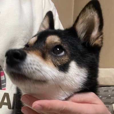 takana2533's profile picture. ゼロからwebデザイナーを目指します！ 工場勤務アラサー社会人◡̈❁ 愛犬のために働き方改革🌼 2025年7月から9ヶ月オンラインスクール学生👩‍🎓