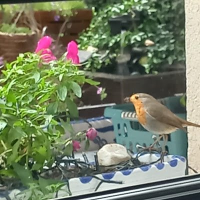 Oihana82's profile picture. 